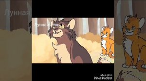 °Коты-воители° клип •Под веткой зелёною ночь Новогодняя• {С Новым годом!} (Читать описание)