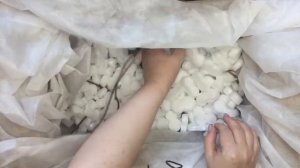 Посылка из питомника «Садко». Распаковка. Саженцы почтой. Что присылают из питомников.