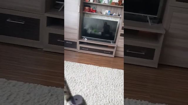 МР-155 камуфляж, отзыв за пару лет эксплуатации смотреть онлайн