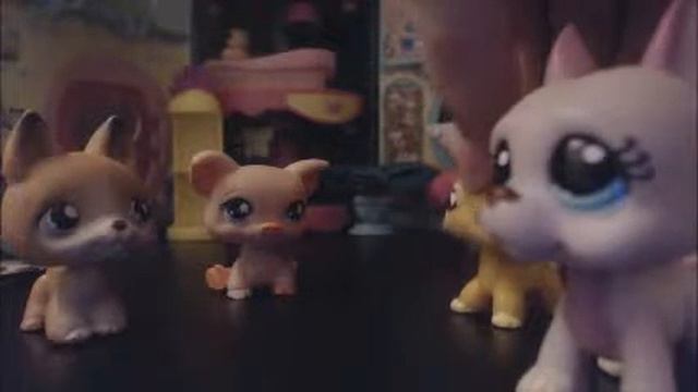 Interview with Sara Watson and Emily Smith from LPS Sleepover | Jerry Anderson & Mariah Widow смотреть онлайн