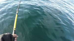 ЛОДКА РЫБЫ ЗА ДЕНЬ