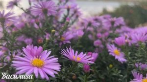 11 февраля народный праздник Лаврентьев День. Что нельзя делать. Народные традиции и приметы.