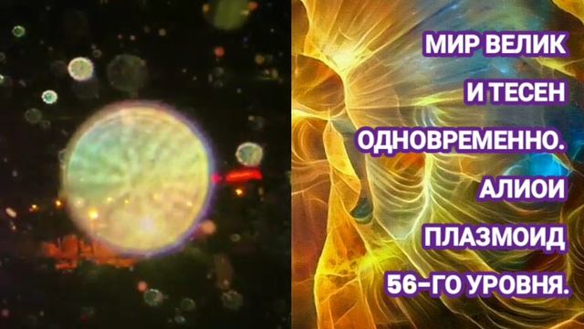 Пережила трансформацию. Светлые высшие силы в форме плазмоидов. Плазмоиды. Плазмоид ДНД.