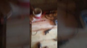 Делаем пол в погребе