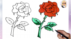 Как нарисовать розу легко