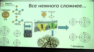 Методы компенсации потребления кальция и щёлочности в аквариуме с живыми кораллами