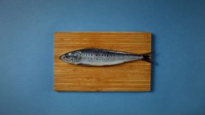 Доброфлот – Рыба! Польза! Хыть-хыть-хыть