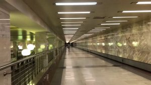 Станция метро "Бульвар Дмитрия Донского". День Города 2020.
