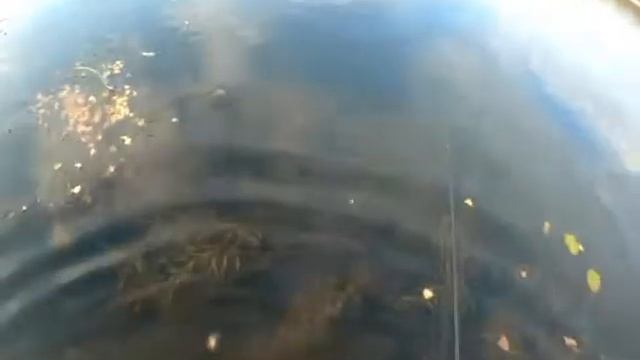 Вытаскиваем тройник из пальца смотреть онлайн