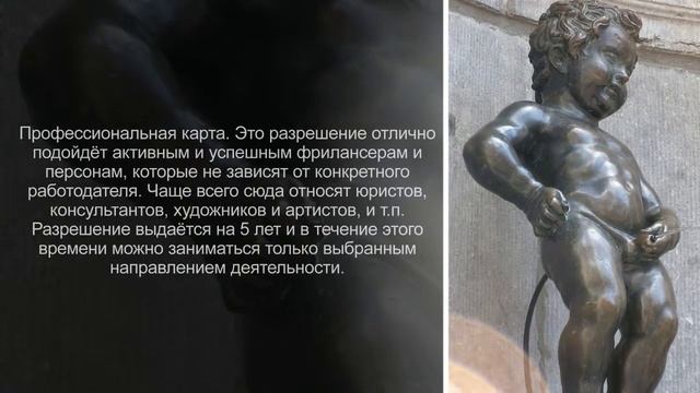 Как получить второй паспорт Бельгии?