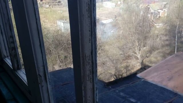 Дача мечты. 1 часть.