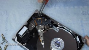 Как разобрать Жесткий Диск Maxtor D740X-6L