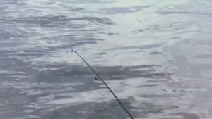 Батя и рыбалка