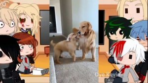 MHA/BNHA Character React to Deku's Pets/This is long/GCRV/MHA/BNHA/Gacha Club/All parts - 17