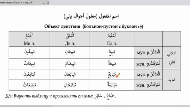 Морфология (الصرف). Урок 40 اسم المفعول أجوف وناقص смотреть онлайн