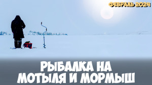 Зимняя рыбалка 2024 Рыбалка на мотыля и мормыш