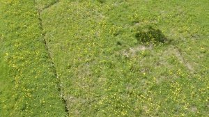 Буковель весной. Bukovel Ukraine