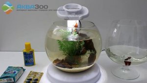 Tetra Duo Waterfall Globe 6.8 л, запуск круглого аквариума