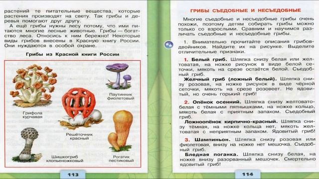 В царстве грибов. Окружающий мир. 3 класс, 1 часть. Учебник А. Плешаков стр. 112-117