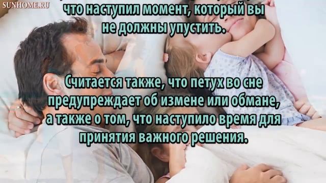 К чему снится Петух сонник, толкование сна смотреть онлайн
