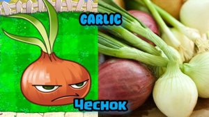 РАСТЕНИЯ В РЕАЛЬНОЙ ЖИЗНИ | ПЕРСОНАЖИ ИЗ ИГРЫ РАСТЕНИЯ ПРОТИВ ЗОМБИ | PvZ 2 | Plants vs zombies 2.