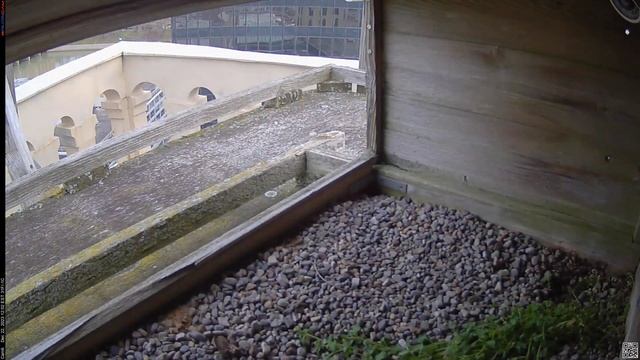 Camera 6 - 12/22/23 смотреть онлайн