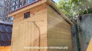 Дачный туалет с односкатной крышей