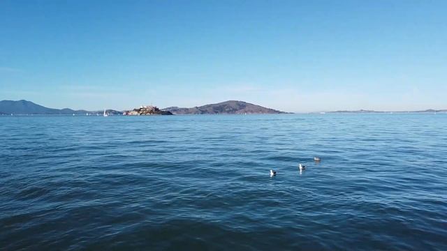 Сан-Франциско. Выходные на набережной. Знаменитый пирс 39. Морские львы. Похлёбка из моллюсков.