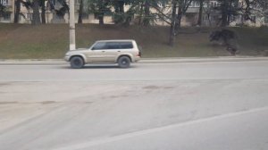 Севастопольский троллейбус на ВМЗ 5298.01 Авангард №3047 до ул.Меньшикова 13 февраля 2023г.