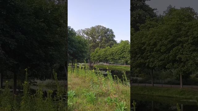 Tiergarten #sommer #atmosphere #spaß #walk #berlin #sightseeing #tiergarten