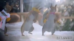 Танец белок,,Зажигаем!!!"
