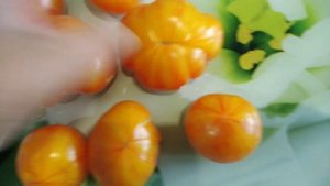 Биколор томат понравится всем. Урожайный, вкусный и красивый.