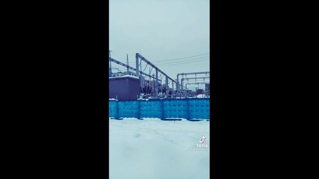 Человейники