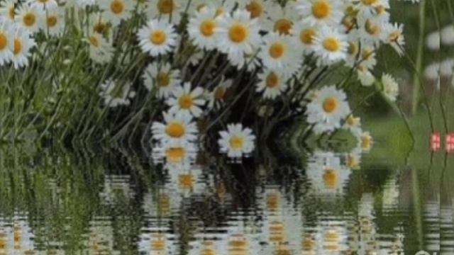 ОНА ПРОХОДИТ МИМО - Виктор Могилатов - очень грустная история! Обязательно посмотри! смотреть онлайн