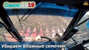 Уборка подсолнечника 2019. Снова развалились подшипники