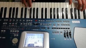 Arash - Dooset Daram(на синтезаторе) KORG