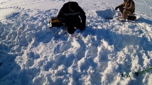 Рыбалка в Омской Области. д. Приозерка. оз.Черталы.