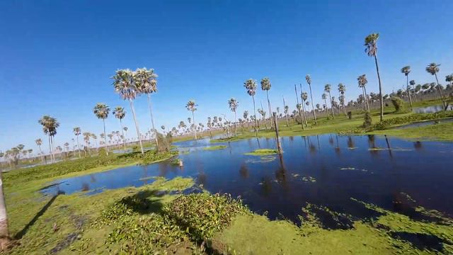 MI ESTRELLA FAVORITA - Lucas Garbin смотреть онлайн