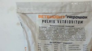 Кормовая добавка.Разведение червей!