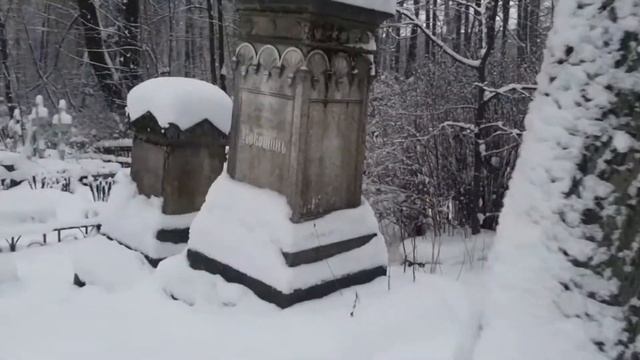 Васильевский остров или Васька. Васильевский остров - отзыв и пешая прогулка. Жизнь других.