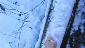 18042017ч3 Босиком по бревну.Скользко...Barefoot on the log.Slippery...
