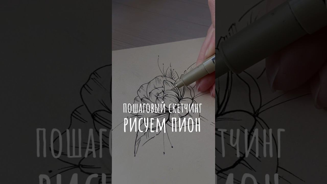 рисуем пошагово — пион, ботаника #sketching #какрисоватьскетчи #скетчингдляначинающих