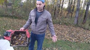 Газонокосилка DDE. Уборка листвы.