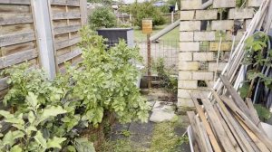 Дача в Германии. Хлопоты в конце июля