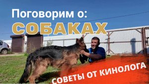КАКУЮ СОБАКУ ЗАВЕСТИ? СОВЕТЫ КИНОЛОГА