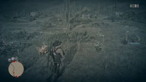 Дикий пиретрум (Wild feverfew) Red Dead Redemption 2