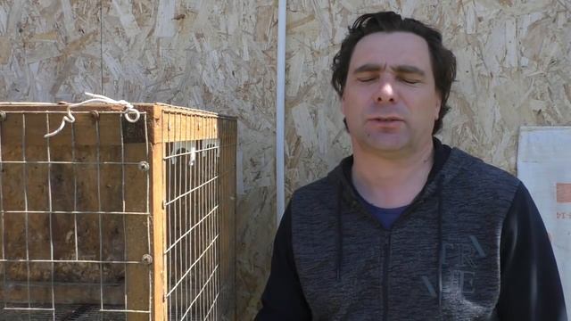 Клетки для бройлеров своими руками смотреть онлайн