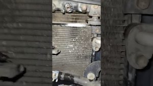 TOYOTA LC Prado 120 замена штатного сигнала на PIAA HO-9 Super BASS HORN 330Hz/400Hz