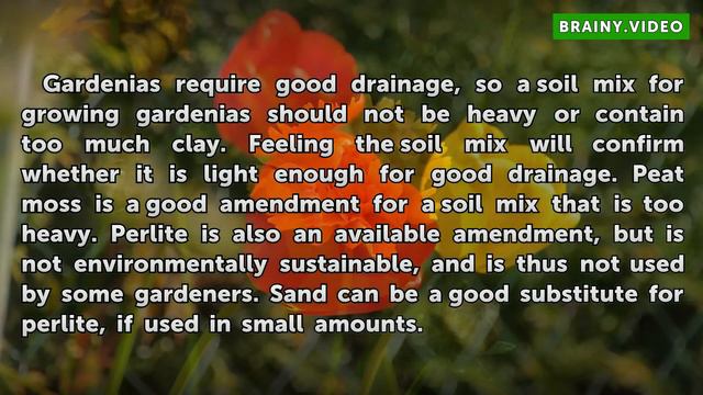 Soil Mix for Gardenias смотреть онлайн