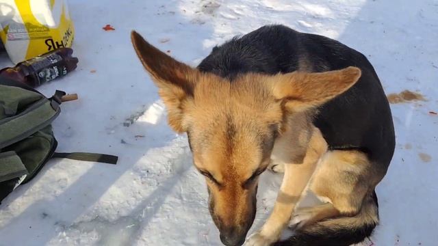 Хорошо отдохнули.Рыбалка в Екатеринбурге.Щучка,подлещик,подъязок 21.1.2023.